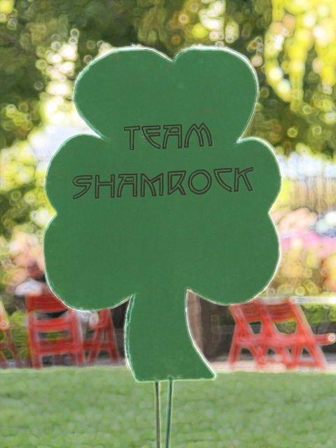 Team Shamrock